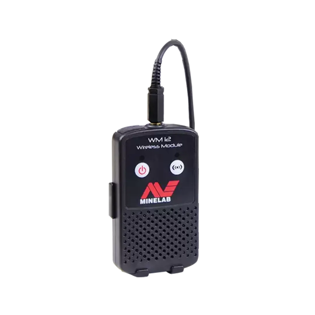 WM 12 Wireless Audio Module